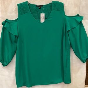 roz&Ali Large Emerald Green Top from Dressbarn